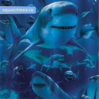 Шторка в ванную комнату, фотопечать "АКУЛА"